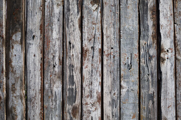 wooden background with old painted boards . Rustic wood background