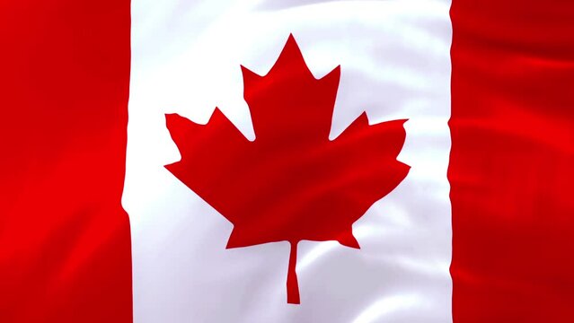 Waving realistic animation Canadian flag