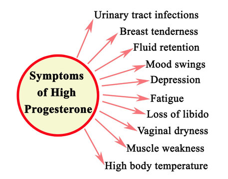  Ten Symptoms Of High Progesterone