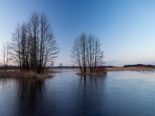 Fototapeta na wymiar View of the spring backwaters, Spring landscape, Biebrza National Park, Poland
