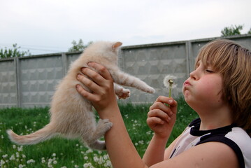 child playing with small cat