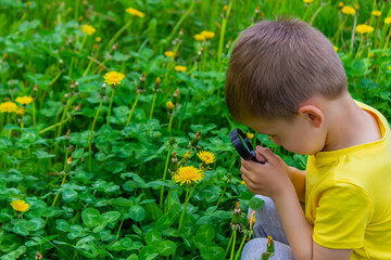The child looks through a magnifying glass at the flowers Zoom in.