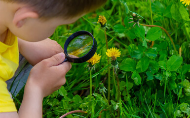The child looks through a magnifying glass at the flowers Zoom in.
