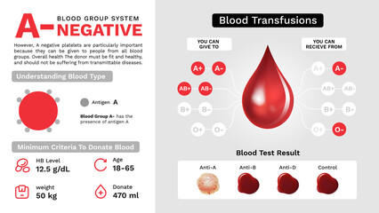 A Negative Blood group characteristics and Additional information vector image design