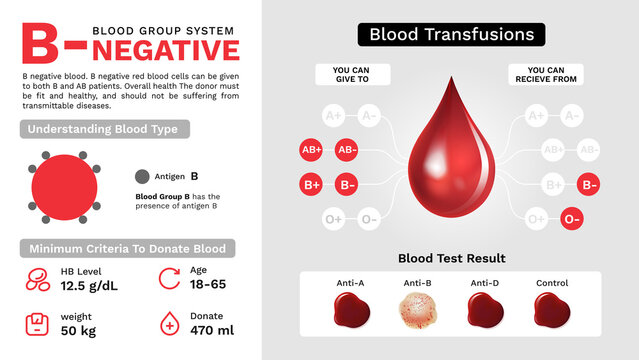 B Negative Blood group characteristics and Additional information vector image design