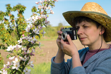 Middle-aged woman in a straw hat with a vintage camera photographing a blossoming branch of an apple tree in the garden