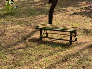 bench in the park