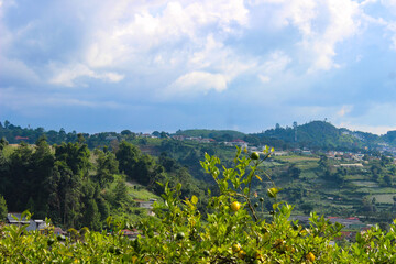 Naklejka na ściany i meble View of Lembang City from the top of the Mountain (Puncak Eurad)