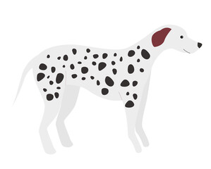 Cute dalmation puppy dog. Standing doggy, domestic funny family pet vector illustration