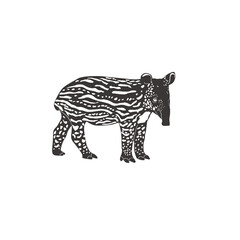 Tapir baby on white background. Vector .