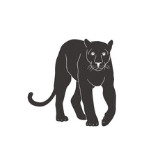 Panther on white background. Vector.