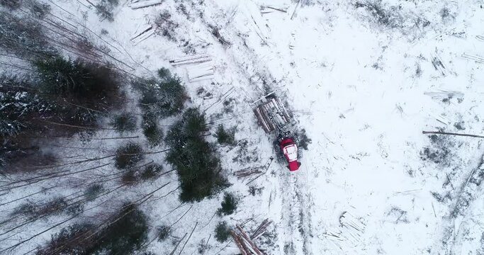 Red forwarder driving backwards in a snowy forest