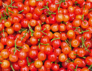 Fresh ripe cherries, cherry background, food background.