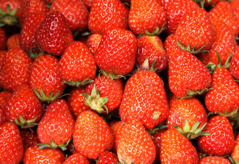 Organic red ripe strawberries on the market
