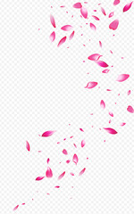 Fototapeta na wymiar Pink Petal Spring Vector Transparent Background.