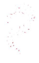 Pink Blossom Spring Vector White Background.