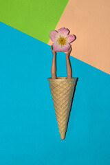 ice cream cone with hands holding a flower head, creative floral design, summer composition