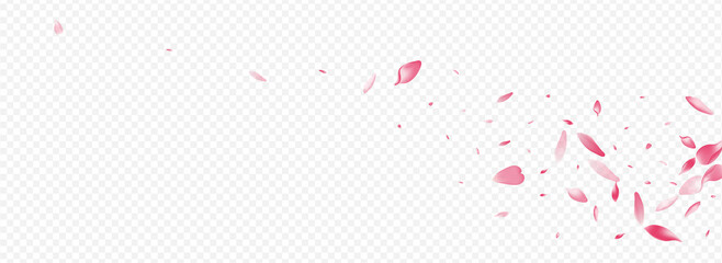 Pink Leaf Vector Panoramic Transparent