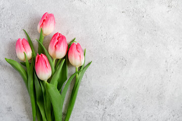 Bouquet blooming pink tulips flowers with green leaves on gray concrete background flat lay with copy space for congratulations, advertising or design. Minimalism concept.