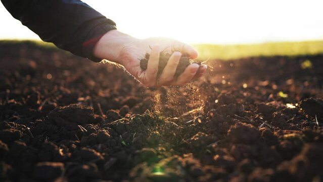 Hand of man on nature on field in sunlight squeezes the earth and it falls down blowing in the wind. Expert farmer checking soil health before growth a seed or plant seedling. Nature healthy food.