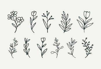 Hand drawn floral plants. Botanical set of sketch flowers and branches.
