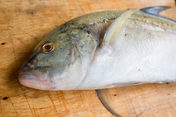 Caranx melampygus, Bluefin trevally or Black ulua on wood floor