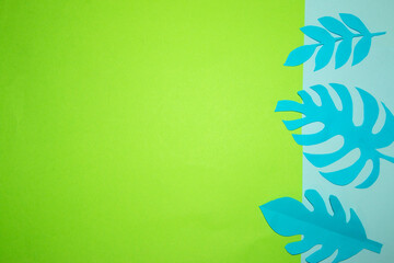 Fototapeta na wymiar blue jungle leaves on the pastel blue part of the background, next to the green part as copy space, creatine tropical design, trendy colors
