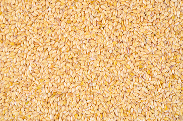 Gold flax seeds texture as background.