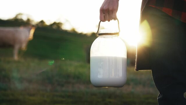 Close-up of a hand woman holding a milk can against the background of meadow farm with cow cattle. Milking animals for dairy products. Natural healthy food. Small business. Summer sunlight on nature.