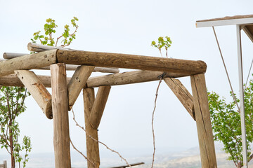 Wooden frame for vine or grape leaves, grape leaves are hanging on selective focus frame