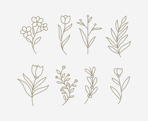 Line art floral plants. Botanical set of sketch flowers and branches.