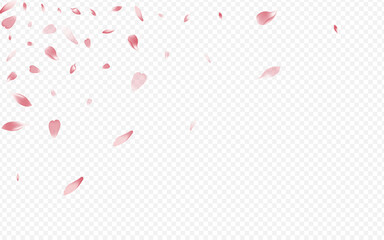 Pink Blooming Vector Transparent Background.