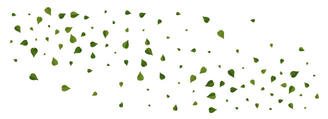 Grassy Leaf Realistic Vector Panoramic White