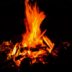 Fototapeta na wymiar Fire flames on black background, Blaze fire flame texture background, Beautifully, the fire is burning, Fire flames with wood and cow dung bonfire