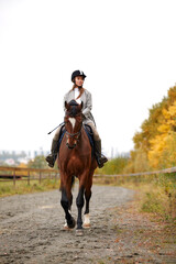 Portrait of a pretty young woman with a brown horse riding autumn day