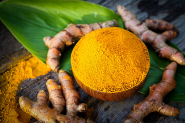 Turmeric powder and fresh turmeric in wooden bowls with green leaf on old wooden table. Herbs are native to Southeast Asia.