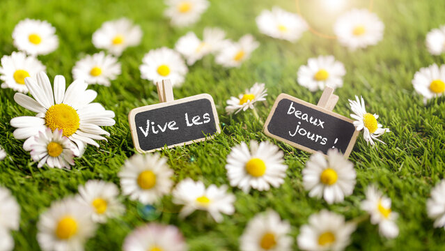 vive les beaux jours &eacute;crit sur des minis ardoises dans l'herbe avec plein de p&acirc;querettes au soleil rasant