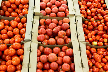 Fresh red tomatoes in supermarket