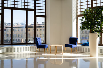 Blue armchair in white room with botanic decoration. Modern white gallery interior with panoramic window city view. Modern office space with sunlight