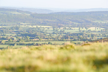 Fresh Green Upland Ridge in Shropshire UK