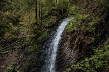 Fototapeta premium Beautiful waterfall on Carpathian mountains, Western Ukraine