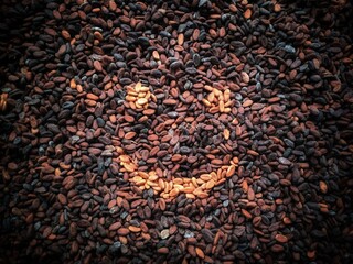 Dry Cacao Beans wallpaper with smile face