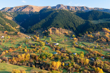 autumn yellow, orange, red leaf trees and nature landscape