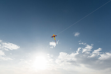 Fototapeta premium A kite flying high in the sky in a nature reserve. Happy outdoor recreation. Freedom and space.
