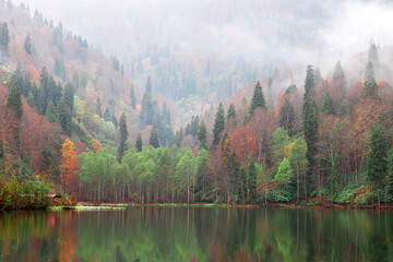 autumn in a lake, foggy weather and trees reflection. Borcka-Karagol