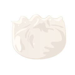 Dumpling dim sum isolated on white background. Vector illustration of tradition Chinese dumpling.