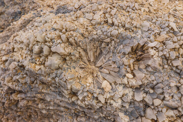 Closeup View to the Sand Crystals in the White Desert Protected Area, Farafra Oasis, Egypt