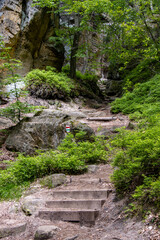 Hiking trail with stairs between rocks in the forest.