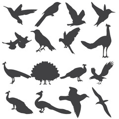 set of silhouettes of birds, Bird Vector Art, Icons, and Graphics