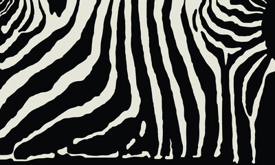 Vector zebra print pattern animal seamless. Zebra skin abstract for printing, cutting, and crafts Ideal for mugs, stickers, web, cover, home decorate and more.